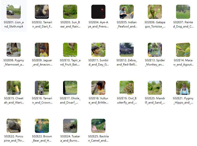 BBC户外自然科普儿童英文节目《Go Wild》全1-2季共45集–MP4