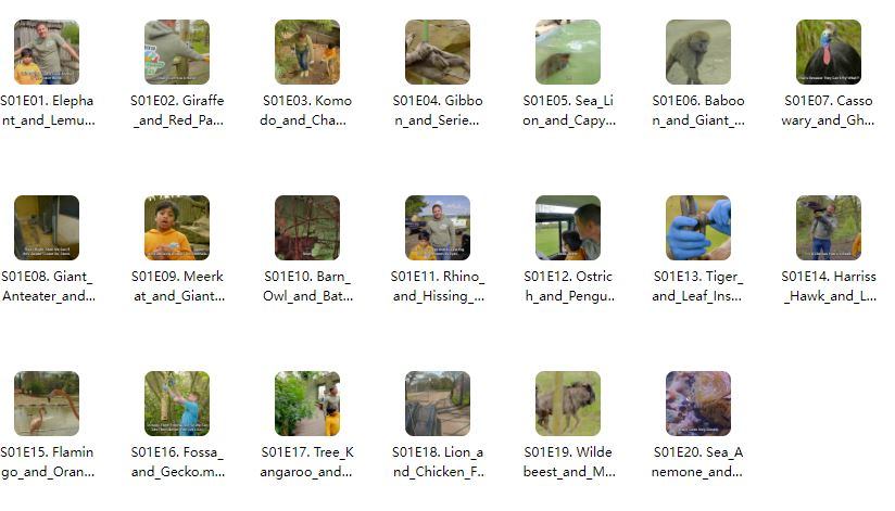 BBC户外自然科普儿童英文节目《Go Wild》全1-2季共45集–MP4